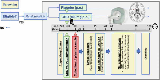 Schematic overview of the trial design.Either cannabidiol (CBD) or placebo (PLC) was administered after a preparatory phase at the beginning of the test session, followed by a rest period. 170 min after medication administration, venous blood was drawn for determination of CBD levels, and a combined stress- and cue exposure was conducted from minute 220–240 (i.e., 180 min after medication administration) using a combination of the Trier Social Stress Test (41) and an alcohol cue exposure in a bar lab setting (for details see text). Directly afterward, an alcohol cue-reactivity functional magnetic resonance imaging task was performed to investigate cue-induced brain activation and craving.