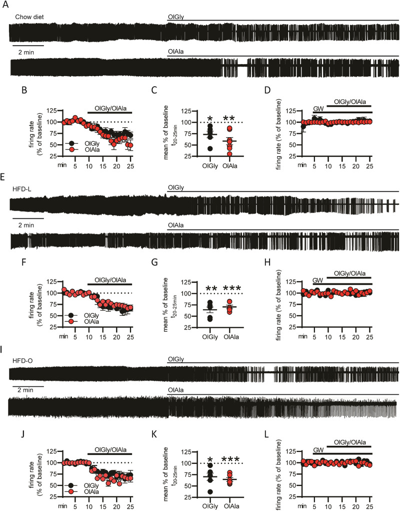 OlGly and OlAla reduce the firing rate of putative DA neurons in the VTA of mice.A Representative trace from a putative DA neuron before and after OlGly and OlAla (10 μM) treatment in mice under a chow diet regime. B Percentage of firing rate changes after addition of OlGly or OlAla in comparison to the baseline; statistical significance was calculated comparing the average of the firing rate in the last 5 min, C Plot of the mean firing rate in percentage of baseline calculated in the interval t20-25. n = 6 neurons from n = 3 mice per group. *p < 0.05 and **p < 0.01 One sample T-test. D Percentage of variation of the firing rate in slices pretreated with GW6471 (100 nM) with respect to the baseline after the addition of OlGly or OlAla. N = 3 and 4 neurons, respectively, per group from 3 mice. E Representative trace from a putative DA neuron before and after OlGly and OlAla treatment in mice under a HFD-L. F Percentage of firing rate changes after addition of OlGly or OlAla in comparison to the baseline; statistical significance was calculated comparing the average of the firing rate in the last 5 min. G Plot of the mean firing rate in percentage of baseline calculated in the interval t20-25. n = 6 neurons from n = 3 mice per group. **p < 0.01, ***p < 0.001, One sample T-test. H Percentage of variation of the firing rate in slices pretreated with GW6471 (100 nM) with respect to the baseline after the addition of OlGly or OlAla. N = 3 neurons, respectively, per group from 3 mice each. I Representative trace from a putative DA neuron before and after OlGly and OlAla treatment in mice under a HFD-O. J Percentage of firing rate changes after addition of OlGly or OlAla in comparison to the baseline; statistical significance was calculated comparing the average of the firing rate in the last 5 min. K Plot of the mean firing rate in percentage of baseline calculated in the interval t20-25. n = 6 neurons from n = 3 mice per group. *p < 0.05, ***p < 0.001, One sample T-test. L Percentage of variation of the firing rate in slices pretreated with GW6471 vs the baseline after the addition of OlGly or OlAla. N = 3, respectively, per group from 3 mice.