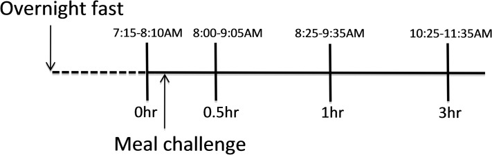 The study design.After an overnight fast, blood was collected and thereafter the challenge meal was consumed. Postprandial blood collection was done at 0.5, 1, and 3 h after finished meal. The meal challenge was repeated at six occasions in total. Hour of blood collection varied between experiments, illustrated by time spans.