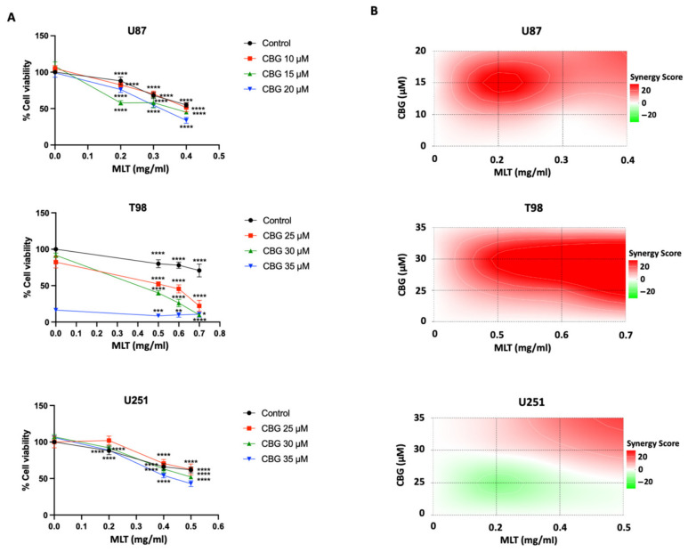 In vitro cell viability assay and synergistic interaction maps of CBG-MLT combinations in GBM cell lines. (A) Dose–response curves of U87, T98, and U251 cells treated with three concentrations of CBG, either alone or in combination with increasing doses of MLT. Data are presented as absolute cell viability (%) relative to untreated cells (set at 100%). Data are expressed as the mean ± SD of three independent experiments. Statistical significance was determined using two-way ANOVA followed by Dunnett’s post hoc test (* p < 0.05, ** p < 0.01, *** p < 0.001, **** p < 0.0001 vs. control). (B) 2D synergy landscapes calculated using the Bliss independence model for CBG + MLT. The color scale indicates the synergy score: red regions represent synergistic cytotoxicity (score > 10), white regions indicate additive effects (−10 ≤ score ≤ 10), and green regions represent antagonism (score < −10).