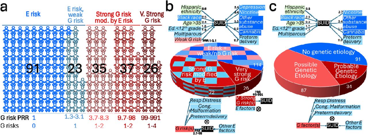 Categorization of 212 SUID cases by the magnitude of genetic (G) and environmental (E) risks.a Categorization by G risk Prevalence Risk Ratio (PRR). b Pie chart showing integrated G*E models for SUID cases with weak/no G risk, strong G risk, and very strong G risk. The magnitude of individual E risks is shown as adjusted hazard ratios. c. Pie chart showing integrated G*E models for SUID cases without genetic etiology, possible genetic etiology and probable genetic etiology.