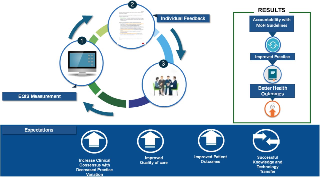 Individual and group feedback from the EQIS platform and expected results