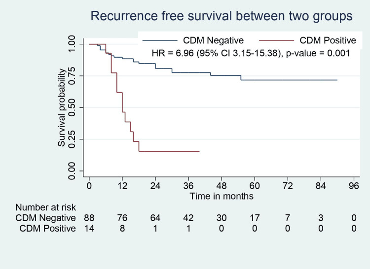 RFS analysis for CDM-negative and CDM-positive groups.RFS: recurrence-free survival; CDM: cystic duct margin; CI: confidence interval; HR: hazard ratio