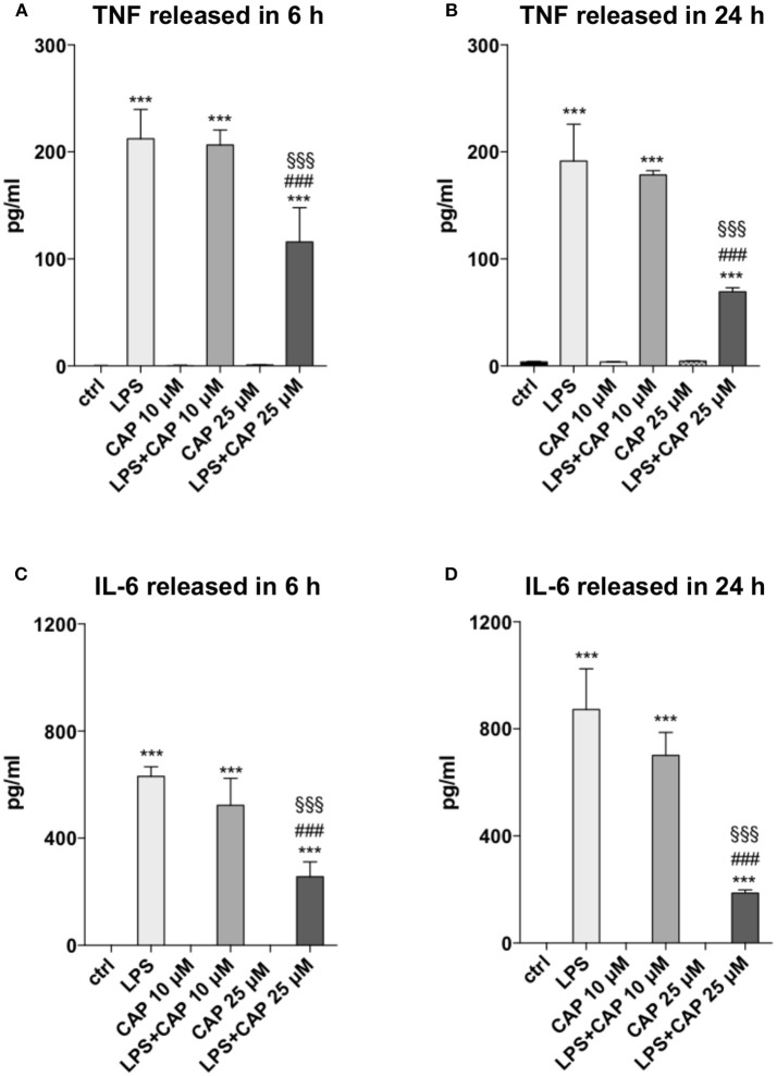 Activated TRPV1 in microglia controls TNF and IL-6 release. TRPV1 stimulation reduces TNF and IL-6 release by BV2 cells under inflammatory challenge. The levels (pg/ml) of TNF (A,B) and IL-6 (C,D) were measured in BV2 culture media harvested after 6 and 24 h of LPS treatment, respectively. One-way ANOVA p < 0.001, followed by Tukey HSD: ***p < 0.001 for comparisons of LPS, LPS+CAP 10 μM, LPS+CAP 25 μM to Ctrl; ###p < 0.001 for comparisons of LPS+CAP 25 μM to LPS, §§§p < 0.001 for comparison of LPS+CAP 25 μM LPS+ CAP 10 μM.