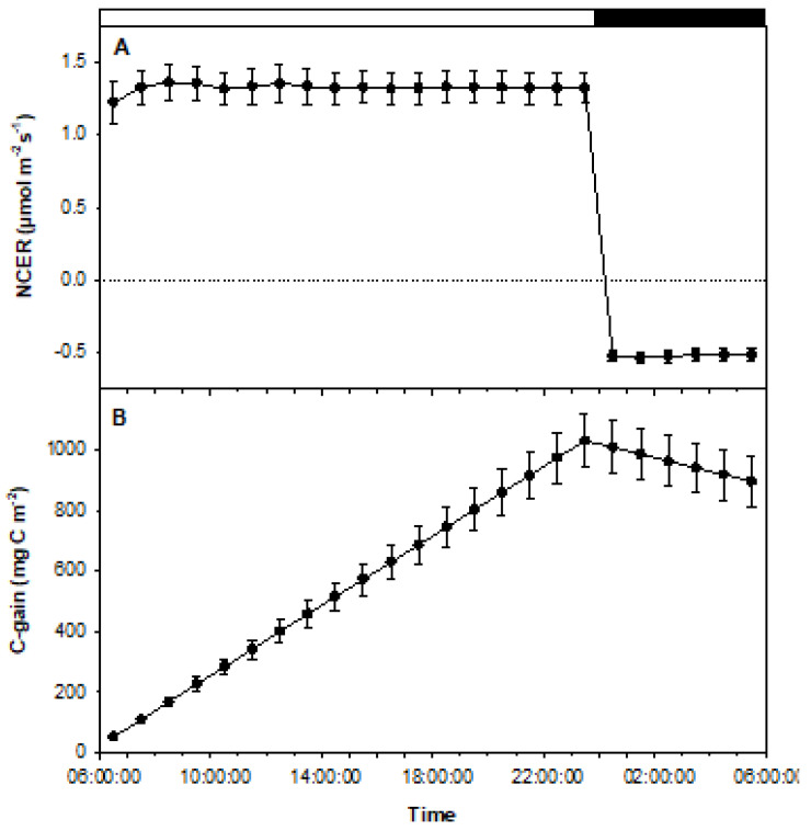 Graphical representations of the data collected from experiment 2. Data represent average NCERs of 4 fully rooted plantlets (n = 4). (A) Positive values indicate photosynthetic rates during the period of illumination, while negative values represent respiration during the period of darkness. Error bars signify mean standard errors. (B) Tracking carbon gains and losses throughout the experiment based on NCER values during light and dark periods. C-gains increased during light periods and decreased in darkness. Error bars represent mean standard errors.