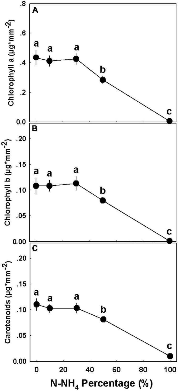 Effect of NH4/NO3 ratio on the concentration of photosynthetic pigments in medical cannabis plants. Chlorophyll a (A), chlorophyll b (B), and carotenoids (C). Presented data are averages ± SE (n = 5). Different small letters above the means represent significant differences between treatments by Tukey HSD test at α = 0.05.
