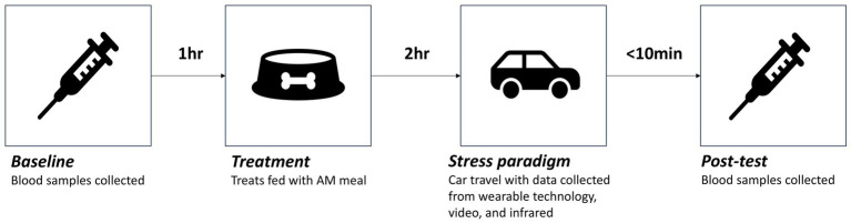 Flowchart depicting a study process. First, Baseline: blood samples collected, represented by a syringe, 1 hour. Second, Treatment: treats fed with AM meal, shown by a bowl, 2 hours. Third, Stress paradigm: car travel with data collected from wearable technology, video, and infrared, represented by a car, less than 10 minutes. Lastly, Post-test: blood samples collected.