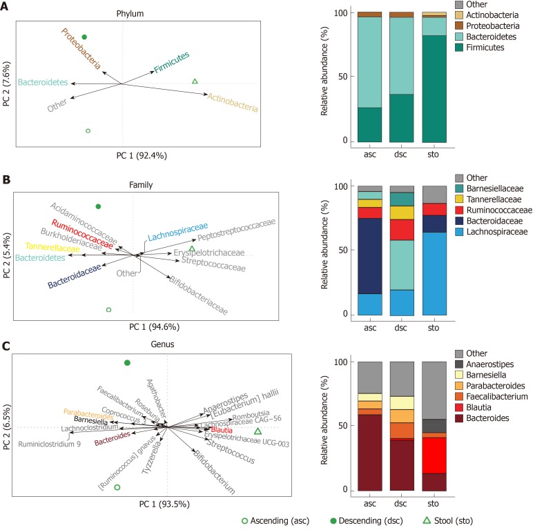 Composition of microbiota from stool, ascending and descending colon in a healthy, normal weight adult. Left side shows principal components analysis biplots of centred log-ratio transformed relative abundances at the phylum; A: Family; B: Genus; C: Levels. Lines with arrows represent individual taxa. Right side shows relative abundance bar charts for the most abundant taxa at the respective taxonomic level across stool and colon location sample types.