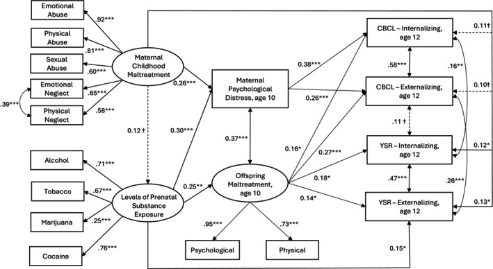 The association of maternal childhood maltreatment with offspring internalizing and externalizing symptoms at age 12. χ 2 (126) = 167.62, p = .008, CFI = 0.972, TLI = 0.963, RMSEA = 0.034 (90% CI = 0.018–0.047), SRMR = 0.047. CBCL, Child Behavior Checklist; YSR, Youth Self‐Report. Rectangles indicate observed variables, and ovals represent latent constructs. All path coefficients are standardized. Single‐arrowed lines represent standardized path coefficients; double‐arrowed lines represent correlations. Solid lines indicate significant (p ≤ .05) coefficients; dotted lines indicate non‐significant (p > .05) coefficients. Only path coefficients with p < .10 are shown; covariates and errors associated with the measurement model are not displayed for parsimony. Estimates were adjusted for maternal education on maternal childhood maltreatment and prenatal substance exposure, child sex on offspring maltreatment, and external assets on YSR internalizing and externalizing symptoms. MCM was indirectly, via psychological distress, related to mother‐reported internalizing (indirect effect of MCM, β = .098, SE = .035, p = .005) and externalizing symptoms (indirect effect of MCM, β = .066, SE = .027, p = .012). PSE was indirectly, via maternal psychological distress, related to mother‐reported internalizing (indirect effect of PSE, β = .113, SE = .045, p = .012) and externalizing symptoms (indirect effect of PSE, β = .077, SE = .035, p = .027). The final model accounted for 23% and 24% of the variation in mother‐reported internalizing and externalizing symptoms, respectively, and 12% and 20% in adolescent‐reported internalizing and externalizing symptoms at age 12, respectively. † p < .10, *p ≤ .05, **p ≤ .01, ***p ≤ .001