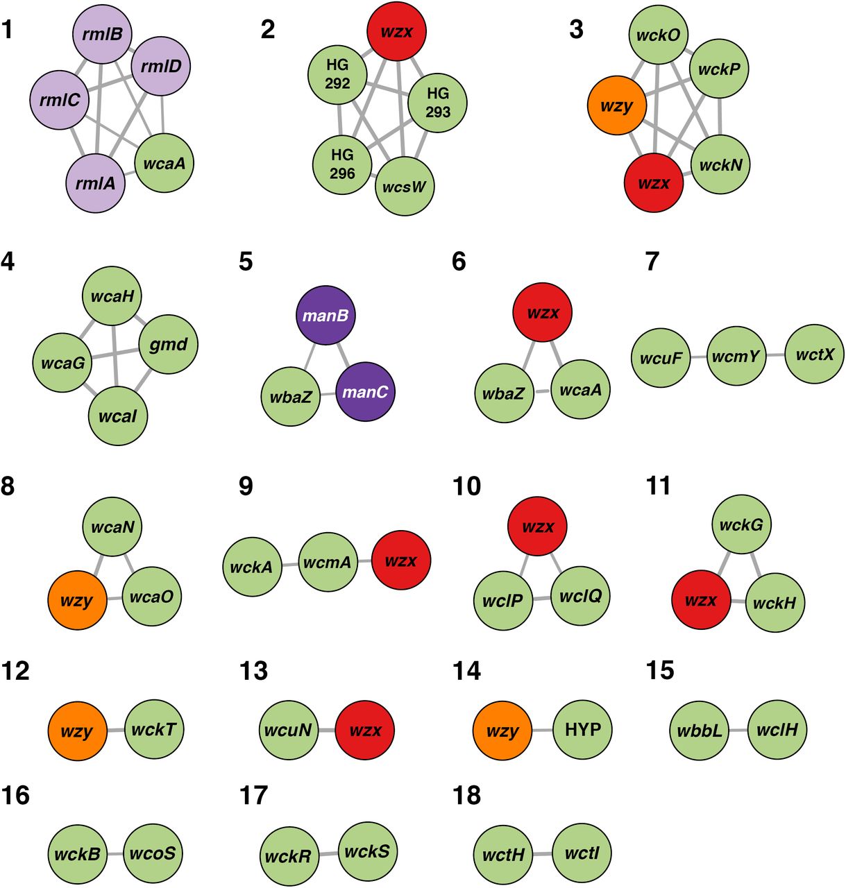 Co-occurrence of wzx, wzy and sugar processing genes across reference K lociNodes represent genes, labelled by name (HYP: hypothetical protein) and coloured by protein product as in Figures 2 and 3: Wzx (red), Wzy (Orange), mannose synthesis/processing proteins (dark purple), rhamnose synthesis/processing proteins (light purple), other proteins (green). Edge widths are proportional to Jaccard index (7) and are shown for all pairs where J >0.61. Numbers represent co-occurrence group assignments as defined in Table S5, Additional File 5.