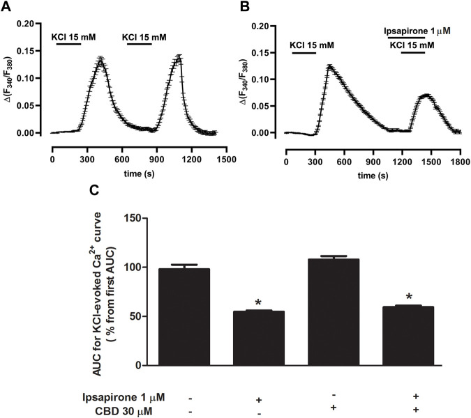 Effect of ipsapirone and CBD on KCl-evoked calcium influx in DRN. (A,B) Representative recordings of KCl-evoked (15 mM, 4 min) [Ca2+]i in DRN 5-HT cells in the absence (A) or presence of ipsapirone (1 µM) (B). Vertical lines refer to the change in KCl-evoked 340/380 ratio, and the horizontal lines represent the time scale. (C) Bar histograms showing mean ± SEM of the AUC for KCl (15 mM)-evoked [Ca2+]i in DRN 5-HT cells in the absence (n = 29 cells, three slices from three rats) and presence of ipsapirone (1 µM) (n = 26 cells, three slices from three rats), CBD (30 μM, n = 21 cells, three slices from three rats), and CBD (30 µM) + ipsapirone (1 µM) (n = 17 cells, three slices from two rats). Each histogram represents the mean ± SEM of the percentage from the first AUC for KCl-evoked [Ca2+]i. *p < 0.001 compared with the corresponding groups without ipsapirone (1 µM) by two-way ANOVA (with CBD and ipsapirone as the main factors) followed by Bonferroni´s post-hoc test.