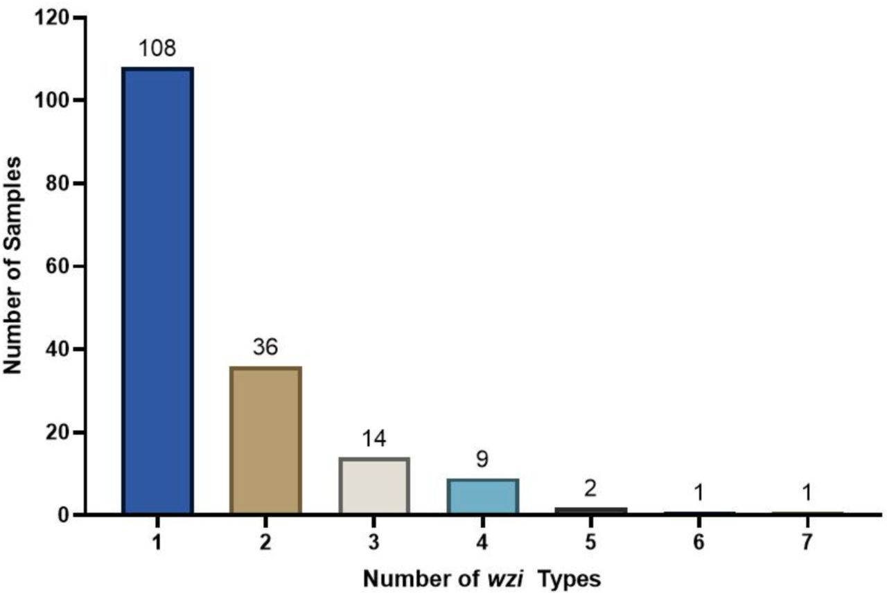Mono-colonization is more prevalent than mixed colonization in patient rectal swabs The wzi-Seq method was used to detect the number of unique wzi types present in Klebsiella colonized patients from a previously published nested case-control study. Mono-colonization was more prevalent (63.2%) than mixed colonization (36.8%) with mixed samples having been 2-7 unique different wzi types.