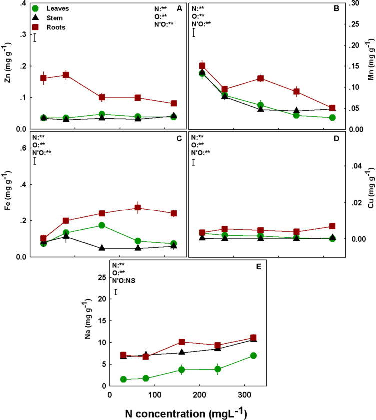 Effect of N supply on micronutrients and Na concentrations in leaves, stem, and roots of medical cannabis plants. Zn (A), Mn (B), Fe (C), Cu (D), and Na (E). Presented data are averages ± SE (n = 5). Results of two-way ANOVA indicated as **P < 0.05, F-test; NS, not significant P > 0.05, F-test. The bars represent the LSD between means at P ≤ 0.05. In the ANOVA results, N’O represents the interaction between N and plant organ. Where not seen, SEs are smaller than the symbol size.