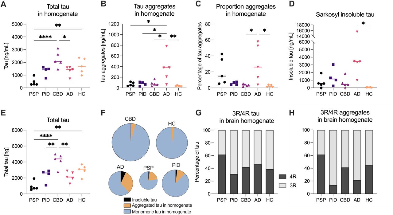 Differential distribution of tau species across tauopathies.(A) Total tau levels measured in brain homogenate from individuals with PSP, PiD, CBD, AD, and age-matched healthy controls (HC) using a mid-region tau ELISA. (B) Small tau aggregate levels measured in the same fraction using a single-molecule Simoa assay with an HT7 antibody sandwich configuration. (C) Ratio of small aggregates to total tau in brain homogenate. (D) Sarkosyl insoluble tau levels measured by ELISA in a separate sarkosyl extraction. (E) Total tau levels (brain homogenate + insoluble) across groups. (F) Relative distribution of tau species (monomer, small aggregates, and sarkosyl-insoluble tau) as a fraction of total tau for each disease group. The size of the pie charts reflects the total amount of tau. (G) Distribution of 3R and 4R tau isoforms in the total tau pool in brain homogenate, measured using a 4R-specific ELISA and normalised to total tau). (H) Isoform composition of small tau aggregates measured using a 4R-specific tau aggregate Simoa assay. In (A) - (E), each data point represents the mean of duplicate measurements of the individual cases (n = 4 cases for PiD, n = 5 for other disease group); horizontal lines indicate group medians. Statistical comparisons were performed using one-way ANOVA with Tukey’s post hoc test; * p < 0.05, **p < 0.01, ****p < 0.0001. For (F) – (H), the average of the n = 5 cases (n = 4 cases for PiD) was used. For clarity, only statistically significant comparisons are shown.