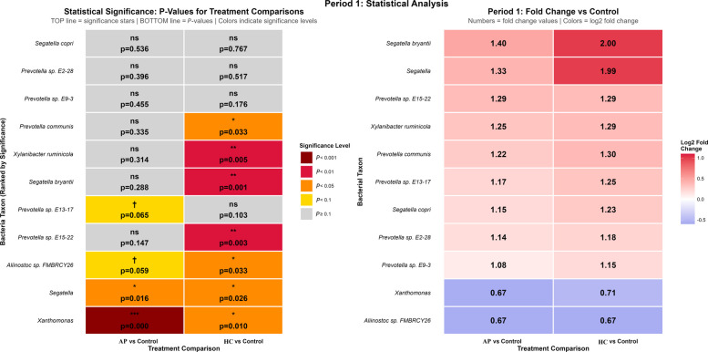 Statistical and functional analysis of gut bacterial taxa. The left heatmap shows the statistical significance (P-values) of bacterial abundance differences between treatments (AP vs. Control and HC vs. Control). Each cell is color-coded by significance level (gray = not significant, yellow/orange/red = increasing significance), with stars and P-values indicating statistical thresholds (†P < 0.1; *P < 0.05; **P < 0.01; ***P < 0.001). The right heatmap depicts fold changes (vs. Control) for each bacterial taxon, with color intensity representing the log2 fold change (red = increased abundance, blue = decreased abundance). Taxa are shown at the genus level, except where explicitly labeled as “sp.” or “spp.”, which indicate unresolved species within a genus (“sp.”) or pooled unresolved species (“spp.”), used when species-level classification is not supported by reference-based read assignment. Treatment colors are consistent across all figures (Control, AP, HC) to ensure visual comparability