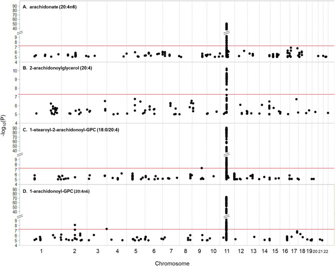 Manhattan plots showing the association of FADS locus variation with levels of four n-6 LC-PUFA-containing molecules: ARA, 2-ARA glycerol, 1-stearoyl-2-ARA-GPC and 1-ARA-2-lyso-GPC. The horizontal axis shows the physical location in the genome, organized by chromosome. The vertical axis shows the − log10-transformed p values from the association analysis with the red line indicating the genome-wide significance level (p = 5 × 10–8). The four peaks show the strong association with the FADS locus.