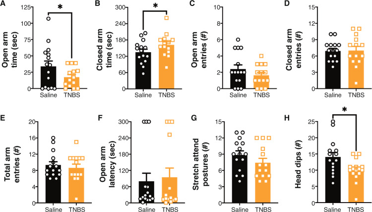 TNBS-induced colitis leads to anxiety-like behavior in the EPM at Day 7 post-administration.At Day 7 post-trinitrobenzene sulfonic acid (TNBS) administration there was an increase in anxiety-like behavior as indicated by a (A) reduction in time spent in the open arms, (B) increase in time spent in the closed arms and (H) a reduction in head dips; however, there were no effects on (C) open arm entries, (D) closed arm entries, (E) total arm entries, (F) latency to open arm or (G) stretch attend postures. n = 14–15/group. *p < 0.05 t test saline vs. TNBS. Saline = left, black bars with circles. TNBS = right, orange bars with squares.