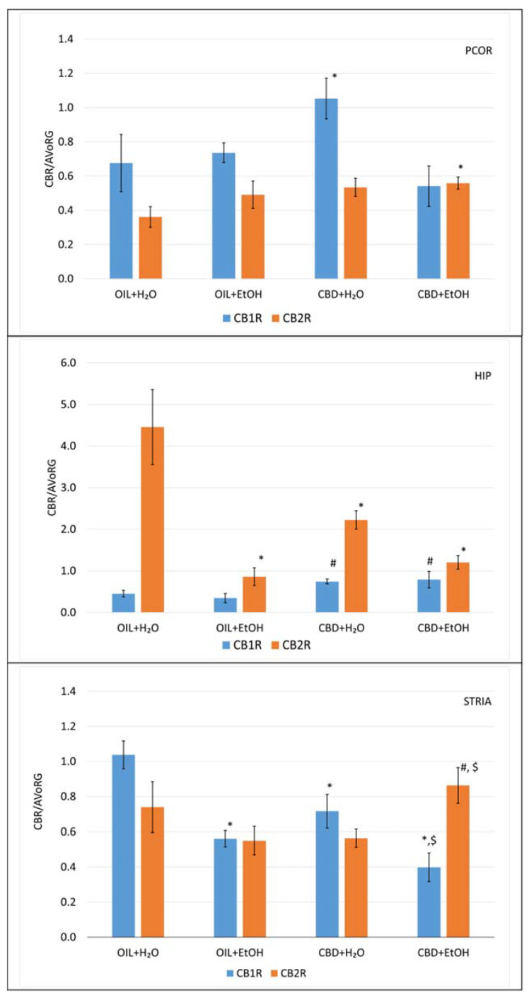 The effect of repeated once-a-day administration of CBD (cannabidiol; 20 mg/kg, p.o.) or OIL (rapeseed oil) for 9 days on EtOH (ethanol; 3.0 g/kg/day, i.p.) or H2O (water for injection) induction of mRNA expression of CB1R and CB2R in PCOR, HIP, and STRIA. Mean ± SEM, n = 9. Legend: AVoRG—arithmetic mean of mRNA reference genes values (for details, see Section 2.7. RNA Isolation and mRNA level Changes Evaluation); CB1R and CB2R—cannabinoid receptor type 1 and type 2, respectively; PCOR—prefrontal cortex; HIP—hippocampus; STRIA—striatum; *—a statistically significant vs. OIL + H2O in the same receptor, p < 0.05; #—a statistically significant vs. OIL + EtOH in the same receptor, p < 0.05; $—a statistically significant vs. CBD + H2O in the same receptor, p < 0.05.
