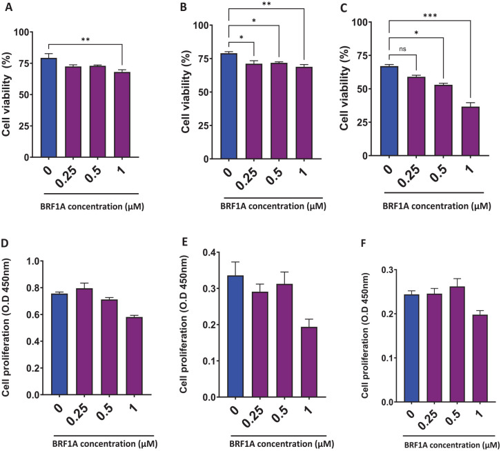 Dose and time-dependent effect of BRF1A on cell viability and proliferation of IgE-producing myeloma cells (U266 cells). Cell viability of U266 cells measured with trypan blue (A) Day 1. (B) Day 3. (C) Day 5. Cell proliferation of U266 cells cultured with BRF1A was measured by CCK8 assay. (D) Day 1. (E) Day 3. (F) Day 5.Data represent triplicate experiments and are expressed as mean ± SD. *P < .05; **P < .01; ***P < .001 versus control (0.1% DMSO). OD, optical density.