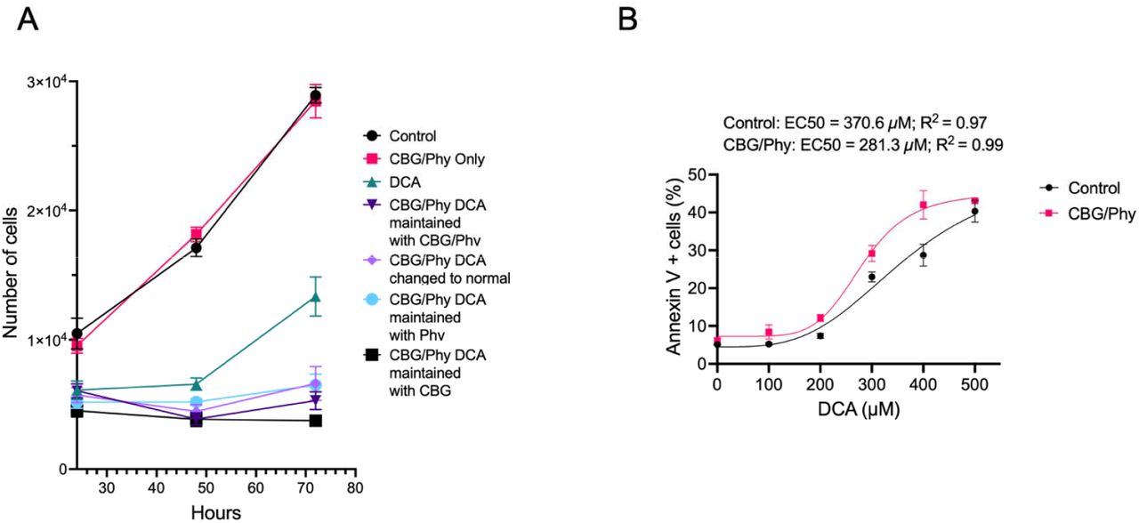 The effect of CBG and Phy on the proliferation and apoptosis of DCA-damaged esophageal cells.(A)XTT cell viability assay of HET1a cells subjected to 100 µM DCA or vehicle control treatment for 24 hours in the presence or absence of CBG and P.(B)The plot represents a non-linear regression analysis of the percentage of apoptotic cells in the HET1a cell line cultured with or without CBG/Phy pre-treatment and exposed to DCA at concentrations ranging from 0 to 500 µM.