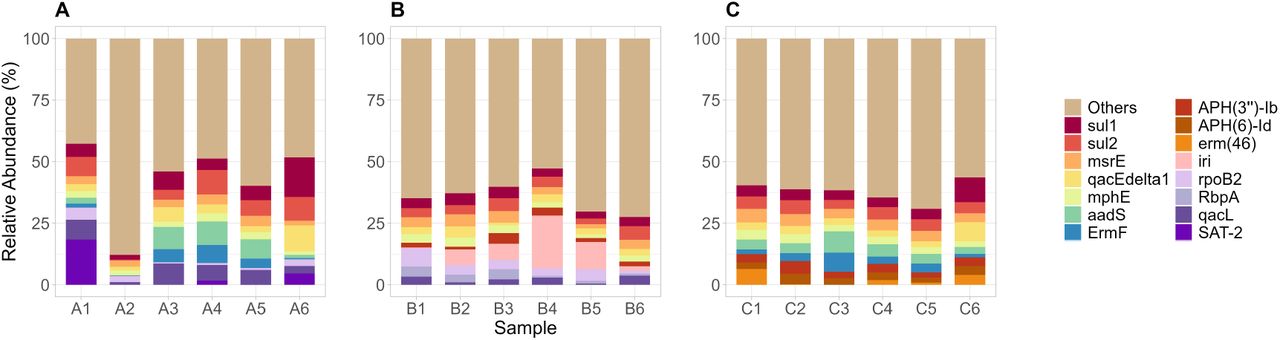 Relative abundances of the top ARGs from Hospital A (A), Hospital B (B), and Hospital C (C). ARGs not part of the top were grouped as “Others.”