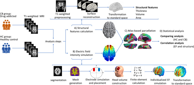 Workflow for data analysisNotes: T1-weighted anatomical images were collected in a separate magnetic resonance imaging study from two groups of subjects: Cannabis users (CB group; n=20) and healthy controls (HC group; n=22). Structural magnetic resonance imaging was analyzed in two separate lines in the next step. A) Extraction of structural characteristics: Structural magnetic resonance imaging was preprocessed in Freesurfer; after surface reconstruction for all of the subjects, each brain surface was transformed to fsaverage standard space, and structural features of the brain, including thickness, volume, and area were calculated at the group-level. The general linear model determined between-group differences regarding cortical morphology metrics; B) Electric field intensity simulations; in the second line of analysis, surface-based computational head models were simulated based on the following steps: Segmentation of the T-weighted images, calculation of the head volume meshes, modeling and placement of two 5×7 cm2 electrode pads, simulation of the bilateral transcranial direct current stimulation montage aimed at the dorsolateral prefrontal cortex stimulation (anode/cathode over F3/F4 in EEG 10–20 standard system with 2 mA current intensity), calculation of finite element method, predict electric field intensity distribution for each individual, and transformation of the models to the standard fsaverage space. Similar to structural data, a general linear model was used for group-level analysis of CHMs; C) Atlas-based parcellation: A surface-based anatomical atlas (Desikan-Killiani) was applied to the brain surfaces. The computational head models’ structural features and electric field intensity were calculated in each brain region; D) Statistical analysis: Correlation between electric field and cortical metrics was calculated for each individual and group. Linear mixed-effect models were used to investigate the effects of cortical metrics on induced electric fields.