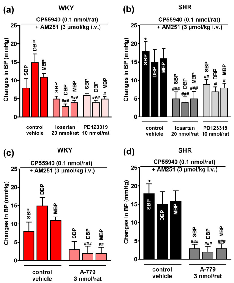 Influence of AT1 and AT2 (losartan and PD123319; (a,b), and Mas (A-779; (c,d) receptor antagonists on the pressor effect of the CB1 receptor agonist CP55940 injected into the paraventricular nucleus of hypothalamus (PVN) in conscious Wistar Kyoto (WKY) and spontaneously hypertensive rats (SHR). All experiments were performed after i.v. injection of the CB1 receptor antagonist AM251. Results, presented as mean ± SEM (n = 5–7), are calculated as the change in basal values determined before agonist injection. # p < 0.05, ## p < 0.01, ### p < 0.001 compared to the corresponding control group; * p < 0.05 compared to WKY.