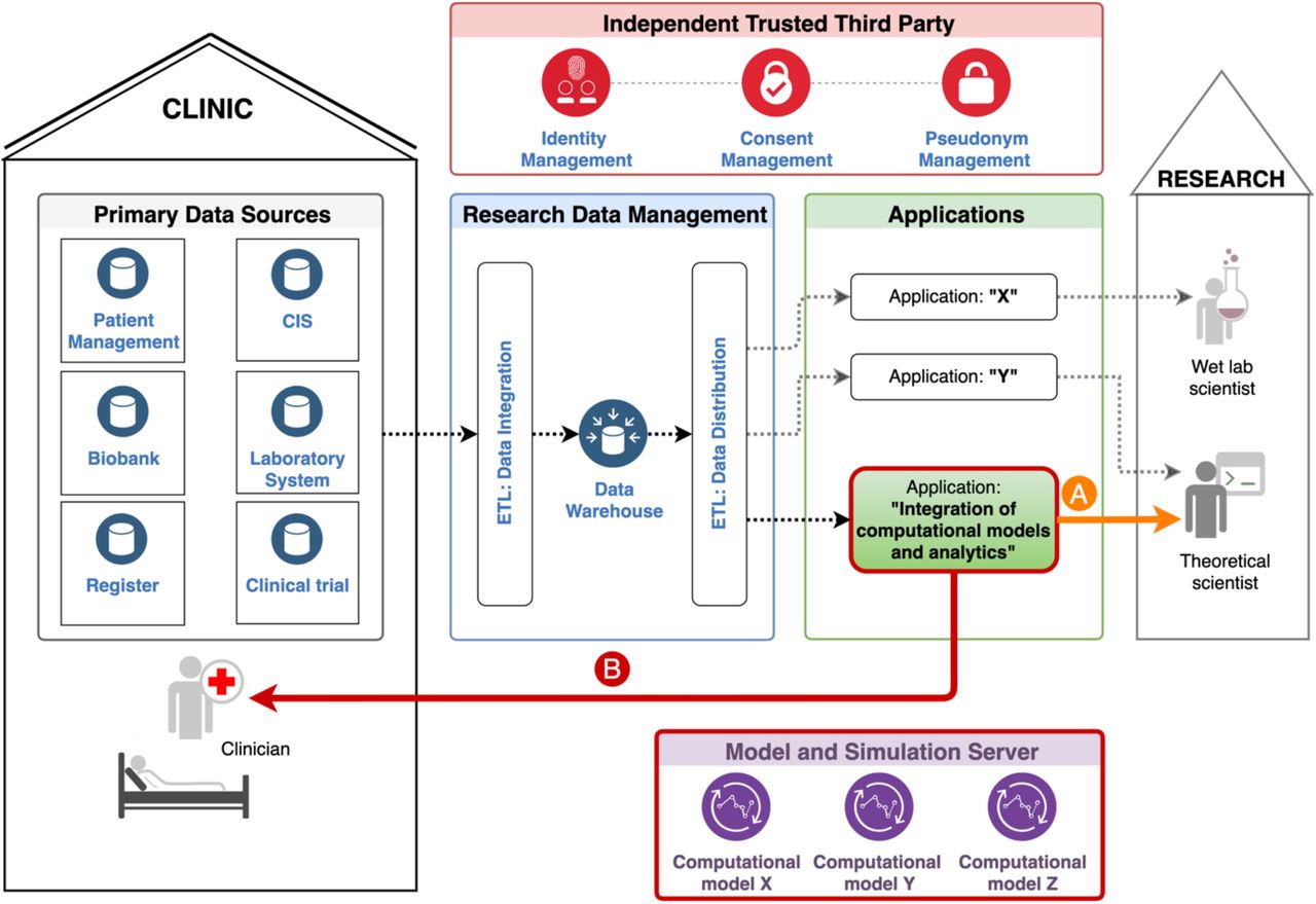 Example of a generic configuration of data management from the primary data sources to the applications:Patient data from various, decentralized, and heterogeneous data sources (Primary Data Sources) are extracted, transformed to harmonized data and loaded into a Data Warehouse (Extract-Transform-Load (ETL): Data Integration). Data transfer points pseudonymize these data and make them available for analysis and specific applications (ETL: Data Distribution). The identifying data, consents, and the pseudonym linkages are managed by an Independent Trusted Third Party or another pseudonymised service/provider. This institution/service also verifies the existence of the required consent before any processing of personal data. Our specific application “Integration of computational models and analytics”, which is additionally connected to a Model and Simulation Server, is intended to be used in clinical research (A) and also in clinical practice (B). Both components (outlined in bold red) complement the existing concept of data management in scientific research.