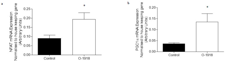 The abundance of mRNA expressed for markers involved in adiponectin signalling, fatty acid oxidation and oxidative capacity in C2C12 myotubes treated for 24 h with O-1918 (100 nM). mRNA expression was normalised to housekeeping gene Hypoxanthine Phosphoribosyltransferase (HPRT1) and grouped data is reported as mean (arbitrary units) ± SEM (* significance p < 0.05). (a) Nuclear Factor of Activated T-Cells calcineurin dependent 1 (NFATc1); (b) Peroxisome proliferator-activated receptor gamma co activator 1-alpha (PGC1α); (c) Adaptor protein containing pleckstrin homology domain, phosphotyrosine binding domain and leucine zipper motif 1 (APPL1); (d) Adaptor protein containing pleckstrin homology domain, phosphotyrosine binding domain and leucine zipper motif 2 (APPL2); (e) Adenosine Monophosphate Kinase alpha 2 (AMPKα2); (f) Pyruvate Dehydrogenase Kinase 4 (PDK4).