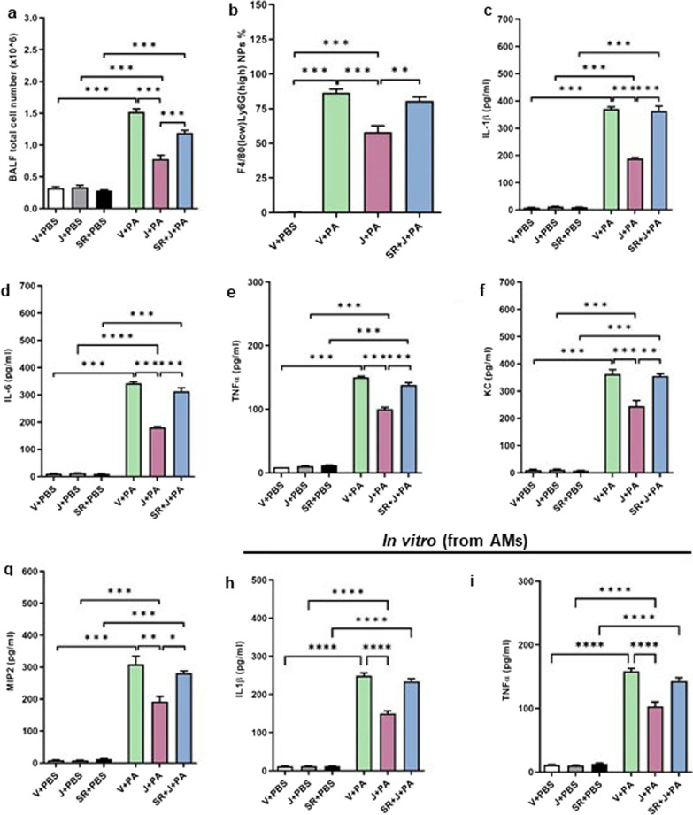 JWH133 treatment reduces PA-induced lung inflammation in mice. C57BL/6 J WT mice were treated with vehicle or JWH133 or SR144528 + JWH133 and exposed to either PBS (control) or PA. BALF was collected after 24 h and total cell number (a), and neutrophil population (b) were determined. The levels of inflammatory cytokines IL-1β (c), IL-6 (d), TNF-α (e), and chemokines KC (f) and MIP-2(g) were tested. Mouse primary AMs were exposed to PA and the levels of IL-1β (h) and TNF-α (i) in the cell culture supernatant were evaluated after 16 h of PA exposure. n = 5–8, **p < 0.01, ***p < 0.001, ****p < 0.0001. Data are presented as mean ± SEM