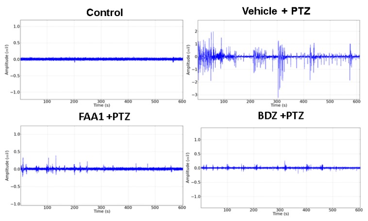 Electrocorticographic tracing of animals in the control group compared to the other groups treated with the vehicle, FAA1 (300 mg/kg), and BDZ (5 mg/kg), after PTZ (60 mg/kg) administration for 600 s.