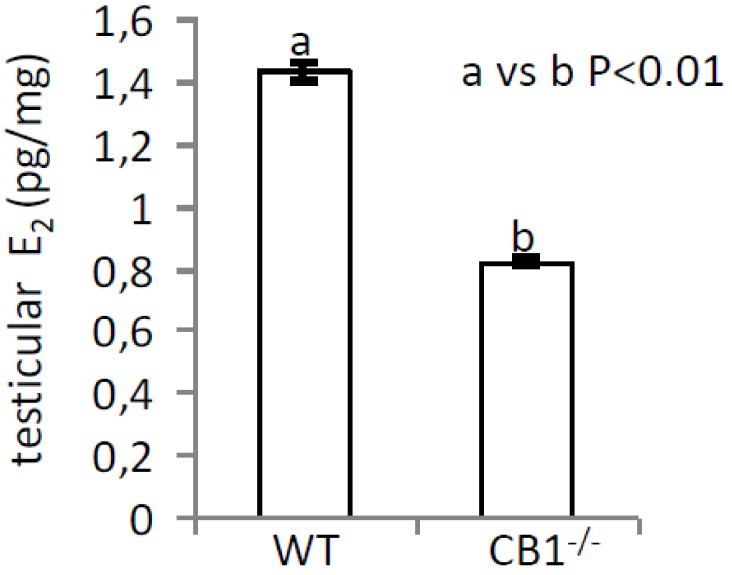 E2 levels in testis from WT and CB1-/- mice by EIA assay. Values were expressed in pg for mg of tissue (pg/mg) and reported as mean values ± S.E.M. Graph was representative of three testis from six different animals/genotype (n = 6 animals for each genotype in triplicates) (a vs. b p < 0.01).
