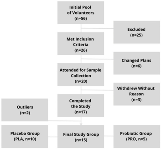 Study inclusion flow-diagram.