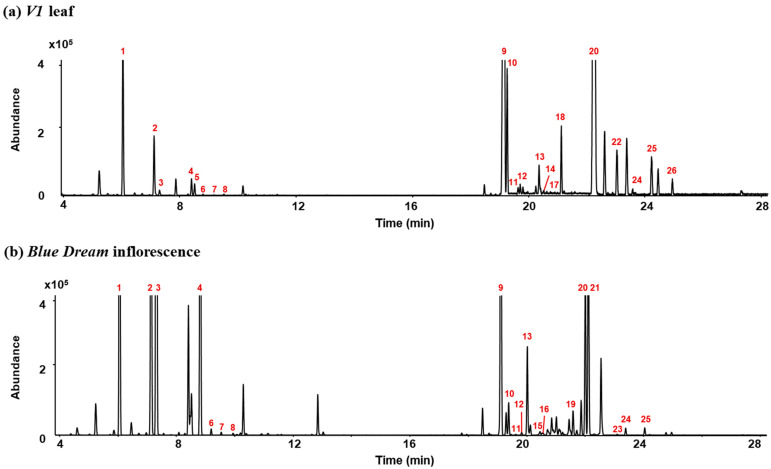 Total ion chromatograms for (a) V1 leaf and (b) Blue Dream inflorescence samples of hybrid Cannabis. (Peak identities are as follows: 1. α-Pinene, 2. β-Pinene, 3. Myrcene, 4. Limonene, 5. Eucalyptol, 6. E-β-Ocimene, 7. γ-Terpinene, 8. Z-Sabinene hydrate, 9. β-Caryophyllene, 10. α-Bergamotene, 11. α-Guaiene, 12. E-β-Farnesene, 13. α-Humulene, 14. Alloaromadrene, 15. β-Selinene, 16. α-Selinene, 17. Z,E-α-Farnesene, 18. β-Bisabolene, 19. β-sesquiphellandrene, 20. E-α-Bisabolene, 21. Selina-3,7(11)-diene, 22. Caryophyllene oxide, 23. Guaiol, 24. γ-Eudesmol, 25. Bulnesol, 26. α-Bisabolol).