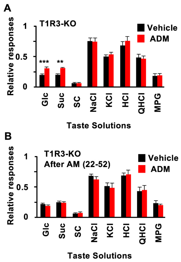 Adrenomedullin (ADM) enhanced chorda tympani (CT) nerve responses to sugars in T1R3-KO mice. (A) CT nerve responses of T1R3-KO mice to 500 mM Glucose (Glc), 500 mM sucrose (Suc), 1 mM SC45647 (SC), 100 mM of NaCl, 100 mM of KCl, 10 mM of HCl, 20 mM of quinine HCl (QHCl), and 100 mM of monopotassium glutamate (MPG) 10–30 min after administration of vehicle (black bars) or 10−6 mol/kg b.w. of ADM (red bars) (n = 7~13). (B) CT nerve responses of T1R3-KO mice to Glc, Suc, SC, NaCl, KCl, HCl, QHCl, and MPG 10–30 min after administration of vehicle (black bars) or 10−6 mol/kg b.w. ADM (red bars) after pretreatment with 10−7 mol/kg b.w. AM (22–52) (n = 7~13). Asterisks show significant differences between vehicle controls and ADM administration (** p < 0.01, *** p < 0.001; Student’s t-test (A)). After pretreatment with AM (22–52), significant differences were not shown between vehicle controls and ADM administration (B). All data are presented as means ± SEMs.