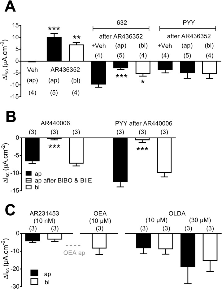 GPR119 tone and pharmacology in human colonic mucosa. (A) GPR119 antagonism (1 µM, AR436352), added to either ap or bl surfaces, is compared with vehicle (0.1% dimethyl sulfoxide) and subsequent GPR119 agonism [10 µM PSN632408 (632)], followed by PYY (100 nM) responses after either ap or bl AR436352. (B) AR440006 (3 µM) responses are similar when added to ap or bl reservoirs, and ap responses are blocked by Y receptor antagonists [300 nM BIBO3304 and 1 µM BIIE0246 (after BIBO & BIIE)]. Subsequent PYY responses (100 nM, bl) are also abolished after Y antagonist addition. (C) A comparison of ap and bl responses to AR231453, OEA, or OLDA, and the dashed, horizontal, gray “OEA ap” line denotes maximal responses to OEA (10 µM, ap), published in Cox et al. (8). Each bar is the means ± 1 SEM from n numbers, as shown. Statistical differences (ANOVA with Dunnett post hoc test) from controls are identified as follows: *P < 0.05, **P < 0.01, and ***P < 0.001.