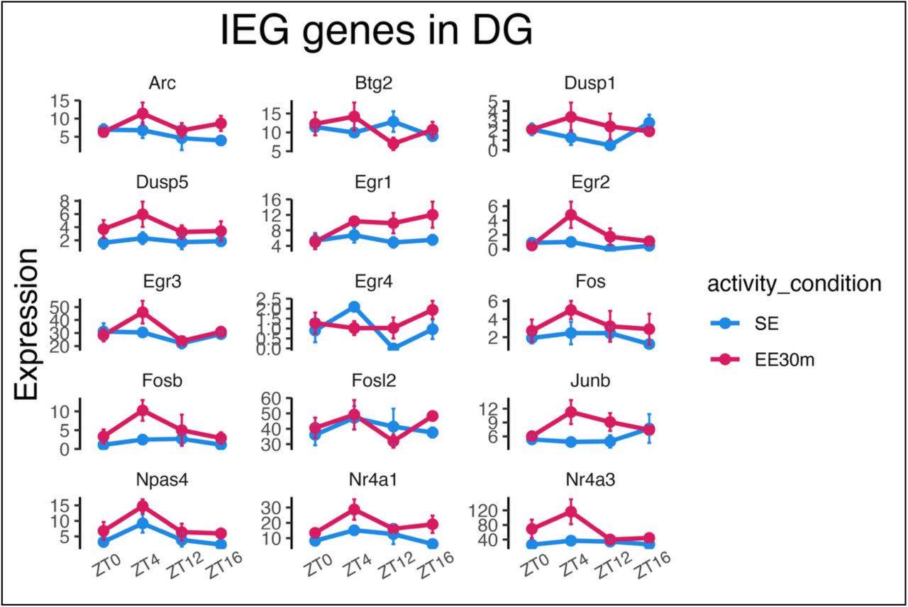 Pseudobulked expression of IEGs across the light- dark cycle within DG in SE and after EE 30 min.