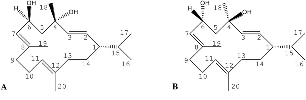 Molecular structure of α-CBD (A) and β-CBD (B).
