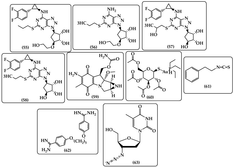 Chemical structure of ticagrelor (55), M5 AR-C133913 (56), M7 (57), M8 AR-C124910 (58), Mitomycin C (MMC) (59), auranofin (60), pentamidine (62), and zidovudine (AZT) (63).