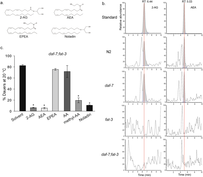 Endocannabinoids rescue the Daf-c phenotype of daf-7;fat-3 worms. (a) Chemical structures of the endocannabinoid molecules assayed. (b) Extracted ion chromatograms of HPLC- MS/MS experiments in order to detect the endocannabinoids 2-AG and AEA in lipid extracts of the following worm strains: N2, daf-7, fat-3 and daf-7;fat-3. The upper panels show the chromatograms of the analytical standards 2-AG and AEA. (c) daf-7;fat-3 dauers cannot be rescued by supplementation with EPEA. However, addition of the endocannabinoids 2-AG and AEA, and the non-hydrolysable noladin ether suppresses dauer formation significantly. Supplementation of methyl-AA also prevents daf-7;fat-3 dauer formation. Kruskal-Wallis one-way analysis of variance on ranks, p < 0.001. Multiple comparisons versus control group (Dunn’s Method). (*) indicates statistically significant difference with solvent, p < 0.05. Bars represent mean values and error bars represent standard errors. The number of independent experiments is n = 14 for solvent, n = 2 for EPEA and noladin, n = 14 for 2-AG, n = 4 for AEA and AA, and n = 8 for methyl-AA. The concentration of all additives is 50 µM.