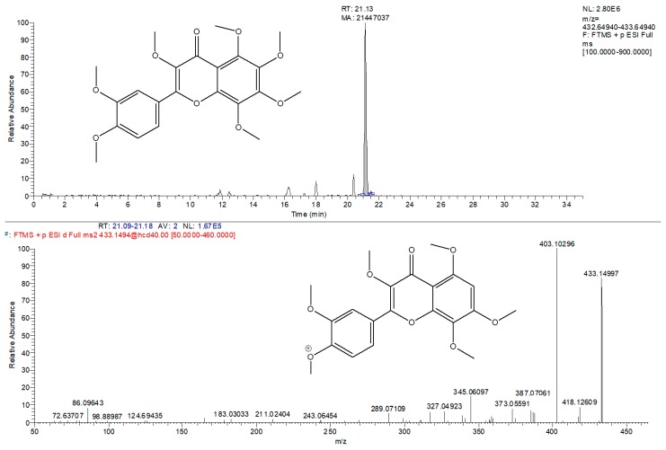 Tentative identification of 3-methoxynobiletin. Extracted ion chromatogram (m/z = 433.1493) and corresponding MS/MS spectra.