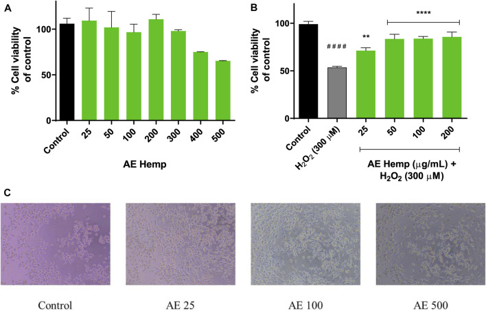 Mitochondrial response. (A) Cytotoxicity of Neuro-2a cells after exposure to different concentrations of Cannabis sativa aqueous extract. (B) Cytoprotective effects of Cannabis sativa aqueous extract versus hydrogen peroxide (300 µM). (C) Inverted microscope images of Neuro-2a cells (0–500 μg/ml) Note: **p < 0.01 versus H2O2; ****p < 0.001 versus H2O2; ####p < 0.001 versus control.