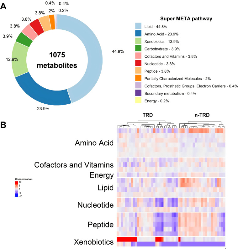 Figure contains two panels. Panel A displays a donut chart categorizing 1,075 metabolites by Super META pathway, showing percentages for Lipid (44.8%), Amino Acid (23.9%), Xenobiotics (12.9%), Carbohydrate (3.9%), Cofactors and Vitamins (3.8%), Nucleotide (3.8%), Peptide (3.8%), Partially Characterized Molecules (2%), Cofactors, Prosthetic Groups, Electron Carriers (0.4%), Secondary metabolism (0.4%), and Energy (0.2%). Panel B shows a heatmap of metabolite categories across two groups, TRD and n-TRD, with concentration indicated by a red-to-blue color scale, highlighting xenobiotics with prominent red bars near the bottom row.