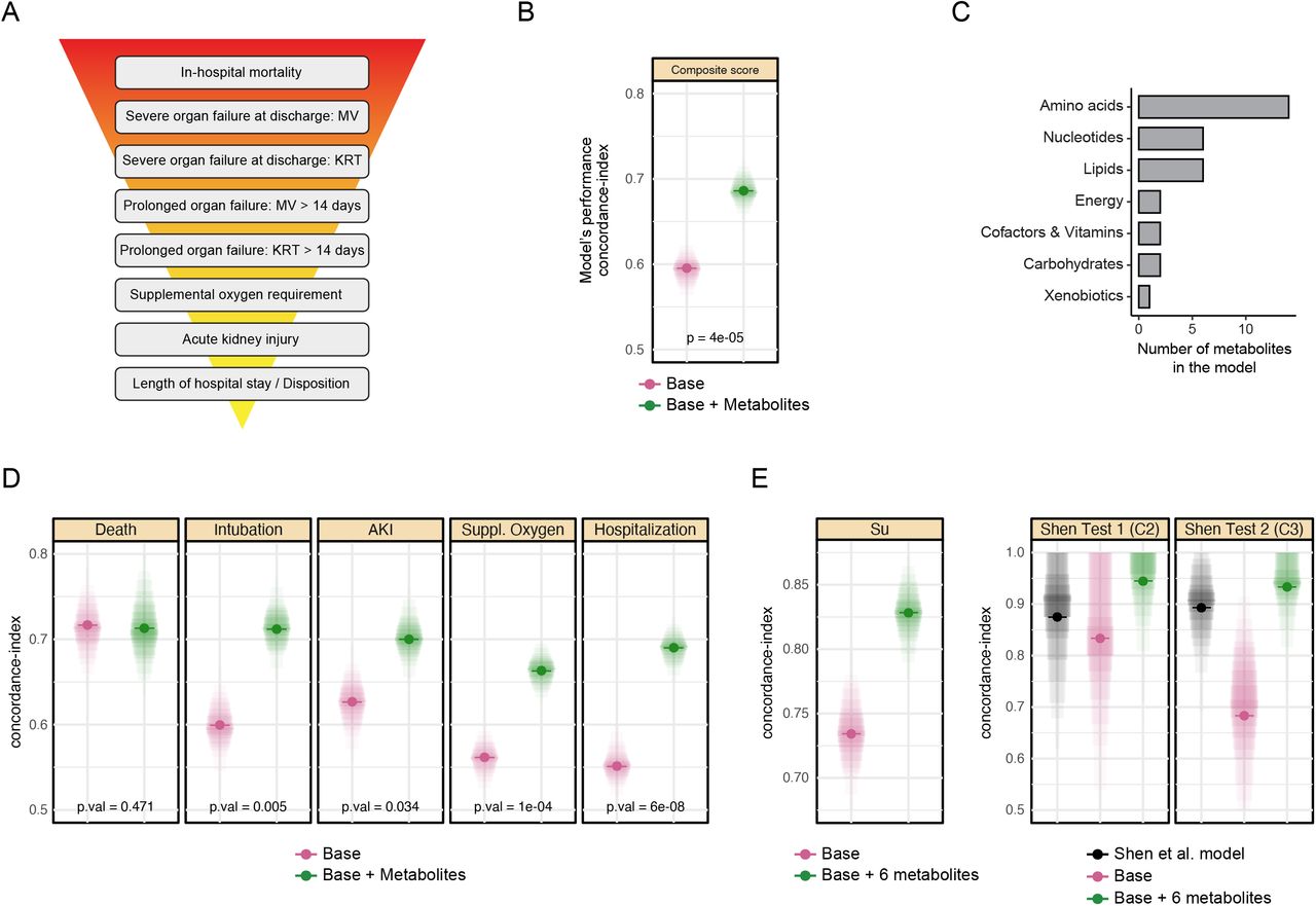 Metabolomics signature predicts clinical outcomes of COVID-19.A, Scheme of the hierarchical composite outcome ranging from in-hospital mortality to length of hospital stay and disposition (MV: Mechanical ventilation, KRT: Kidney replacement therapy). B, Dot plot comparing the predictive performance (Concordance index) of a baseline model using age, sex, and BMI and a model including baseline plus metabolites. The results show that the prediction accuracy improves when adding metabolites to the model. C, Bar plot showing the main altered metabolic groups included in the composite outcome score. D, Dot plots showing individual outcome analysis, comparing the baseline model and baseline plus metabolites added. Metabolites improve the prediction accuracy of ARDS, AKI, supplemental oxygen requirement and prolonged hospitalization. E, Replication analysis of our model in two independent datasets by Su et al.(43) and Shen et al.(44). This analysis was performed on the reduced 6-metabolite model. The Shen et al. study developed their own model, which is plotted in black.(44)