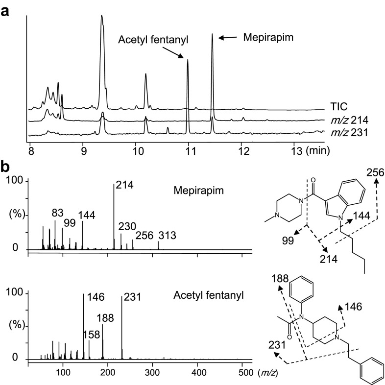Gas chromatography–mass spectrometry analysis of mepirapim and acetyl fentanyl in femoral vein whole blood. Total ion current chromatogram (TIC) and extracted ion chromatograms at m/z 214 and 231 (a). Electron ionization mass spectra of mepirapim and acetyl fentanyl (b)