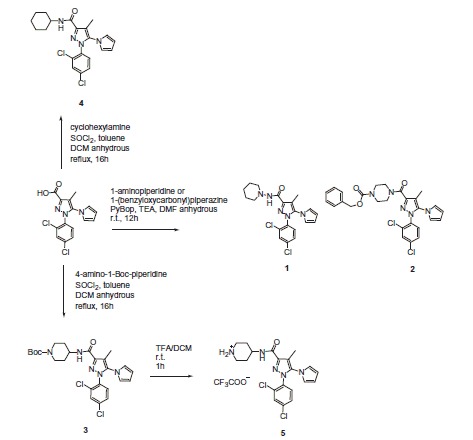 Synthesized Rimonabant analogs.