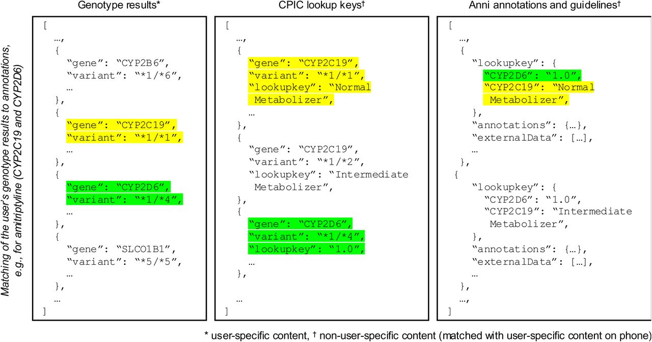 Format of data used in PharMe and mapping of PGx test results, guidelines, and annotations based on CPIC lookup keys.