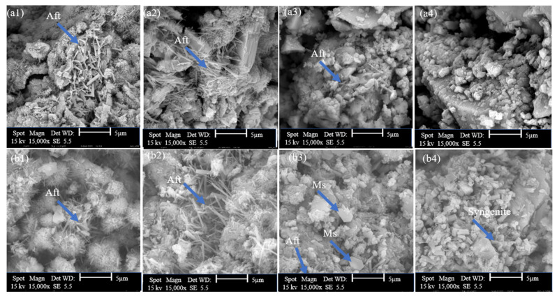 SEM diagrams of GU cement with and without lixiviate (a) 12 h of hydration and (b) 7 days of hydration: (a1,b1) with DW, (a2,b2) 0.5%, (a3,b3) with 2% and (a4,b4) with 5% hemp hurds lixiviate.
