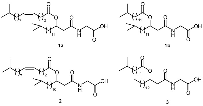 Some bioactive N-(3-acyloxyacyl)glycines reported in the literature.