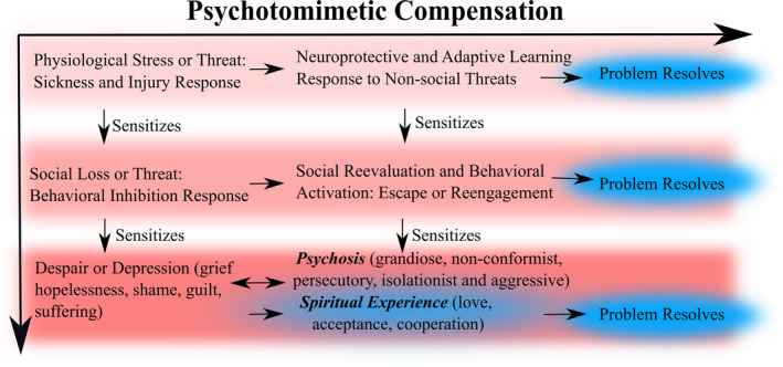 Similar feelings (e.g., exhaustion) and behaviors (e.g., immobility) are elicited by injury, sickness, social threat or loss, and likely sensitize individuals to future inhibitory responses to stress as well as depression. Psychotomimetic signaling compensates against these inflammatory and inhibitory responses by increasing neuroprotection, energy, motivation, behavioral reevaluation and reengagement, and is generally adaptive, helping individuals to move beyond or resolve the sources of their distress. Intense psychotomimetic compensation, however, due to intense or chronic stress, could facilitate psychotic or spiritual experiences, the boundaries of which overlap to some degree. However, as these experiences recur over time, at risk individuals may become sensitized and vulnerable to psychosis.